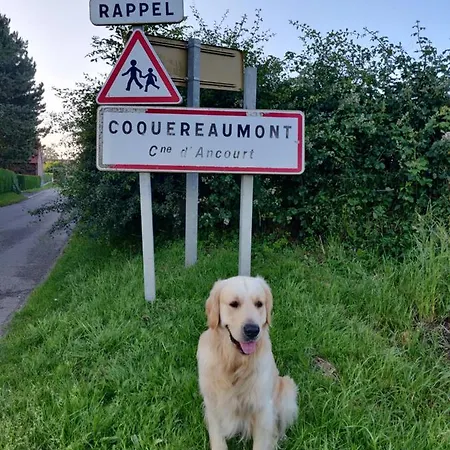 Elyaco - Complet Avec 2 Ancourt